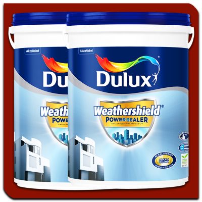 Dulux WeatherShield Powersealer