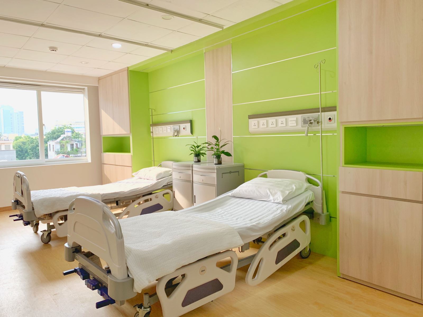 Sơn tường màu xanh lá nhạt cho phòng khám và khu khám bệnh