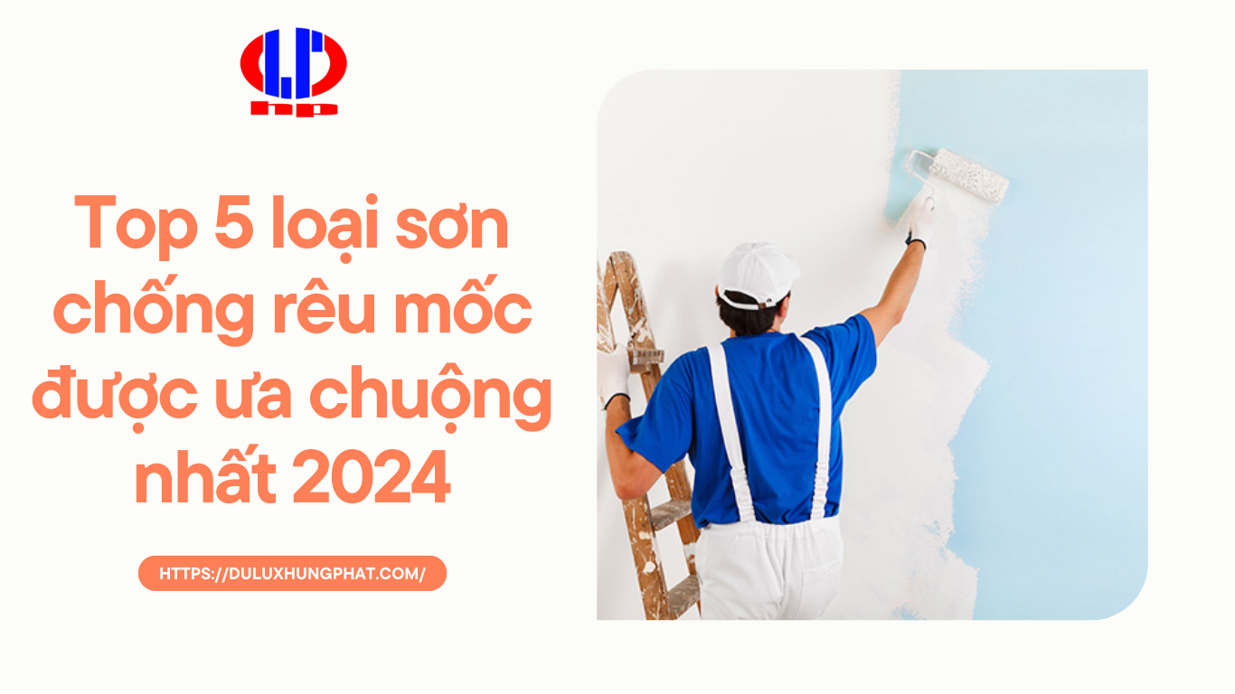 Top 5 loại sơn chống rêu mốc được ưa chuộng nhất 2024